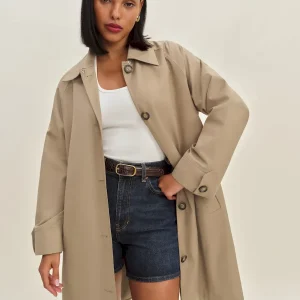 Dion Trench